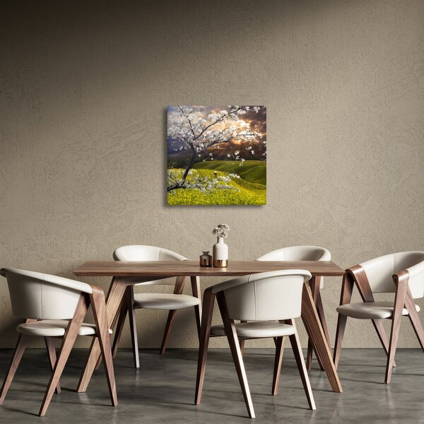 Obraz - Rozkvetlý strom v krajině (30x30 cm)