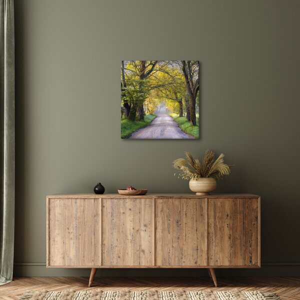 Obraz - Smoky Mountains, Gatlinburg, USA (30x30 cm)