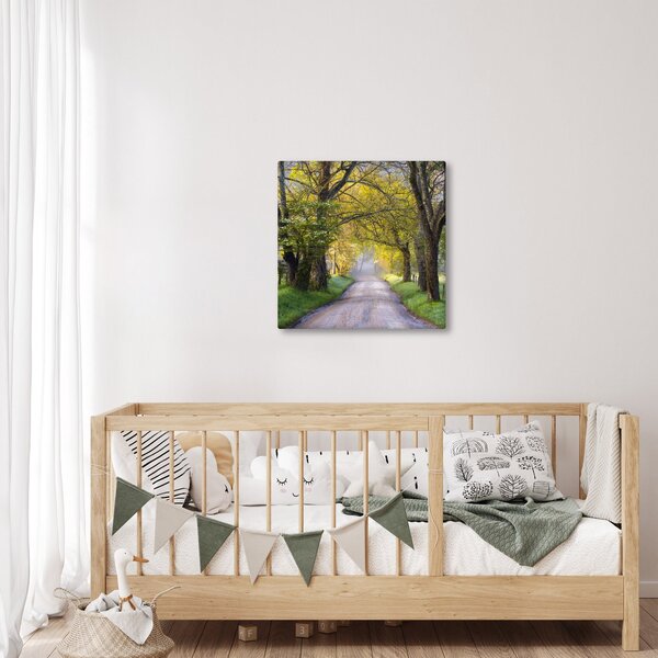 Obraz - Smoky Mountains, Gatlinburg, USA (30x30 cm)