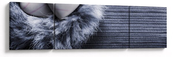 Obraz - Hnízdo lásky (170x50 cm)