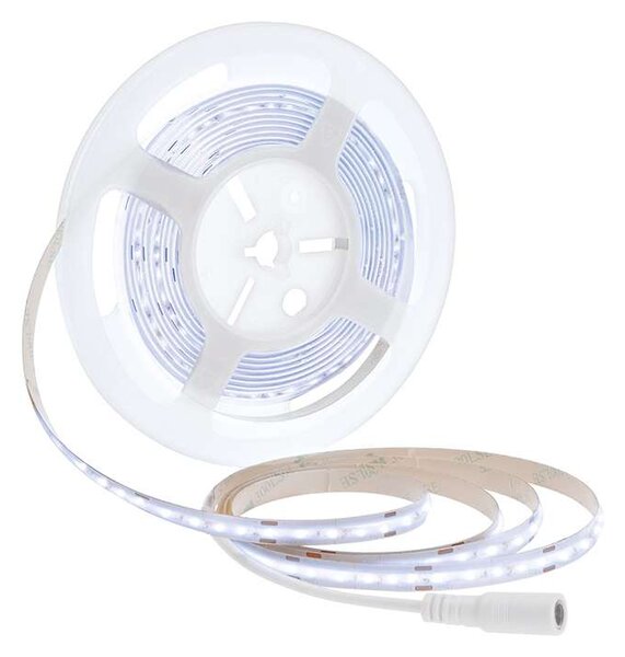 COB LED světelný pásek WM59 5 m, studená bílá