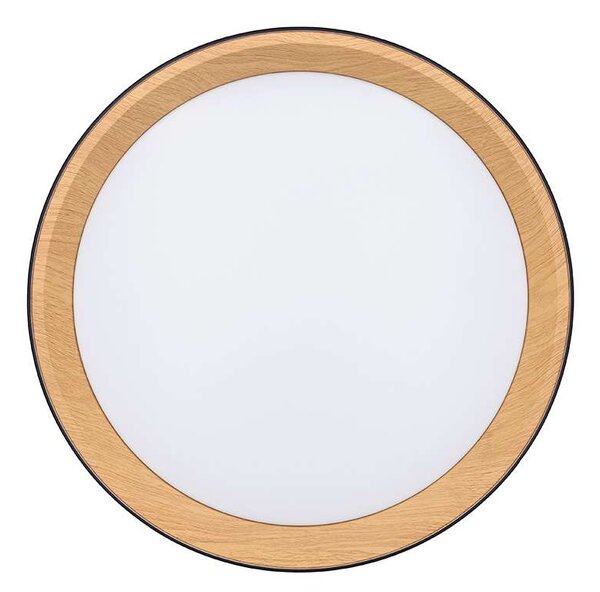 LED stropní světlo s dálkovým ovládáním Larios nastavitelné - průměr 39 cm, černá