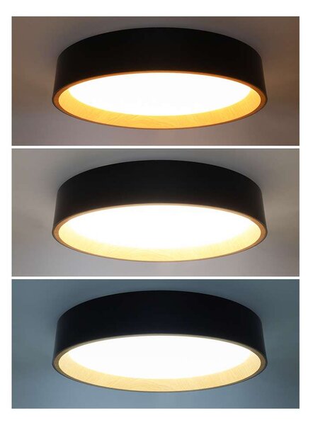 LED stropní světlo s dálkovým ovládáním Larios nastavitelné - průměr 39 cm, černá