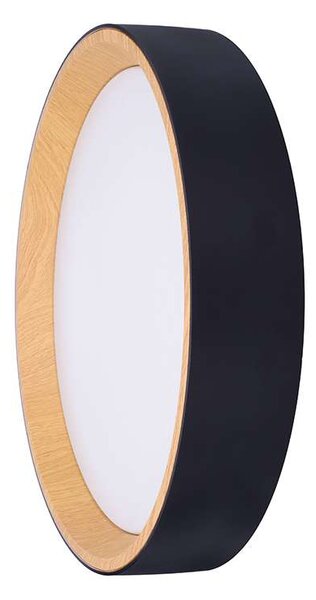LED stropní světlo s dálkovým ovládáním Larios nastavitelné - průměr 39 cm, černá