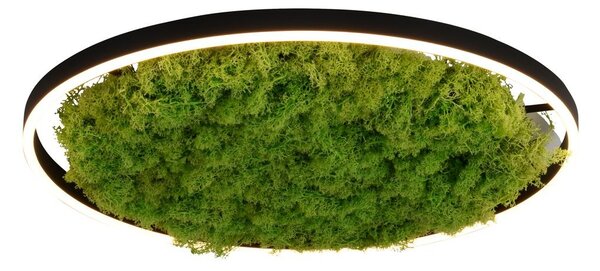 GREEN RITUS LED stropní svítidlo, 3650 lm, 28 W