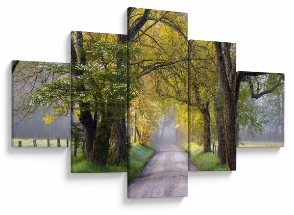 Obraz - Smoky Mountains, Gatlinburg, USA (125x70 cm)