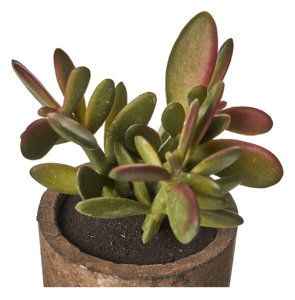 Umělé rostliny v sadě 4 ks (výška 10 cm) Cactus – Casa Selección