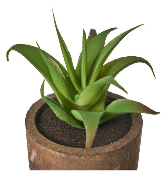 Umělé rostliny v sadě 4 ks (výška 10 cm) Cactus – Casa Selección