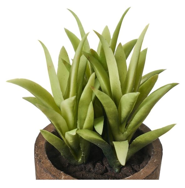Umělé rostliny v sadě 4 ks (výška 10 cm) Cactus – Casa Selección