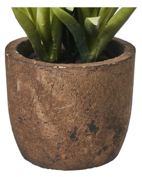 Umělé rostliny v sadě 4 ks (výška 10 cm) Cactus – Casa Selección