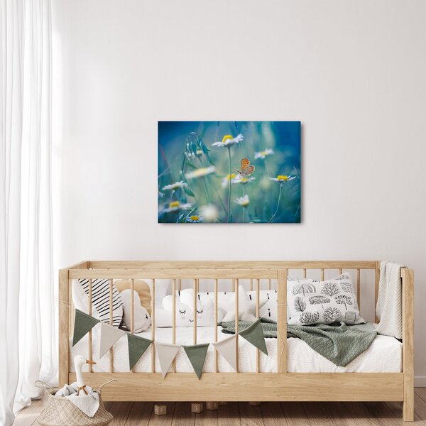 Obraz - Motýl na sedmikrásce (70x50 cm)