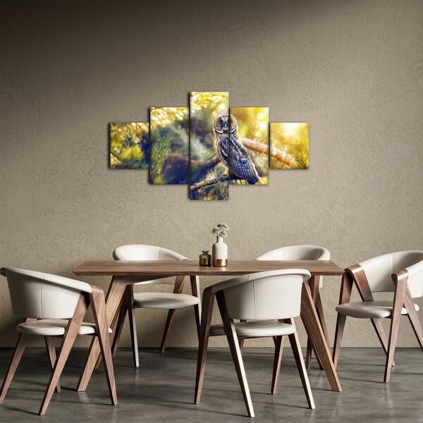 Obraz sovy na stromě (125x70 cm)
