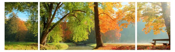 Obraz - Klidná podzimní krajina (170x50 cm)