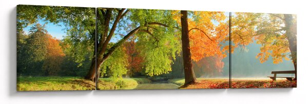 Obraz - Klidná podzimní krajina (170x50 cm)