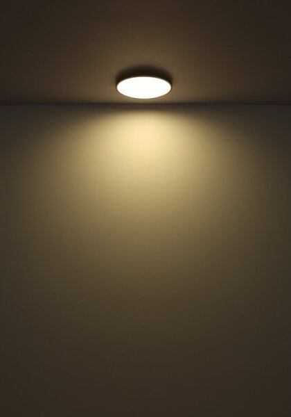 Globo 41566-32S - LED Stropní svítidlo NIELSEN LED/32W/230V pr. 40 cm černá