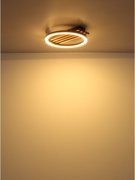 Globo 67353D1 - LED Stropní svítidlo TISHA LED/12W/230V 3000K 30x34 cm