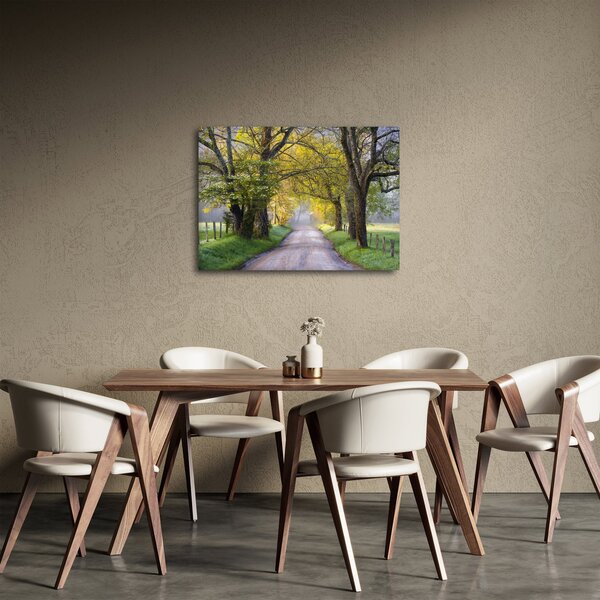 Obraz - Smoky Mountains, Gatlinburg, USA (70x50 cm)