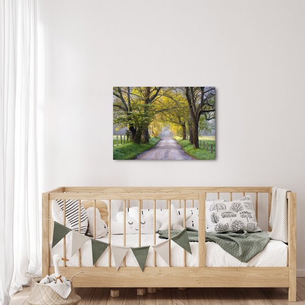 Obraz - Smoky Mountains, Gatlinburg, USA (70x50 cm)