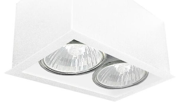 Brosline 1081 - Bodové svítidlo CAGE 2xGU10/10W/230V bílá