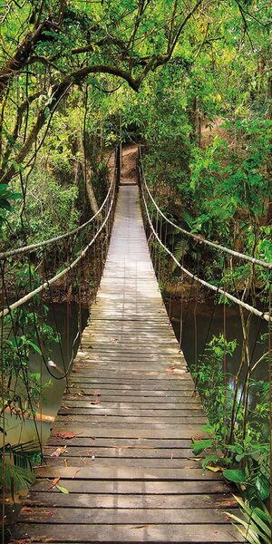 Fototapeta na dveře JUNGLE BRIDGE 86x200 cm