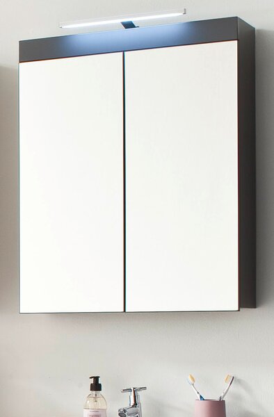 Trendteam Koupelnová zrcadlová skříňka Amanda Grey Melamin/Agave Grey HG.TZ 60 x 77 x 17 cm