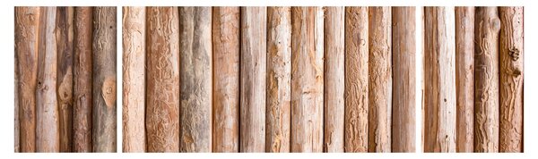Obraz - Bambus (170x50 cm)