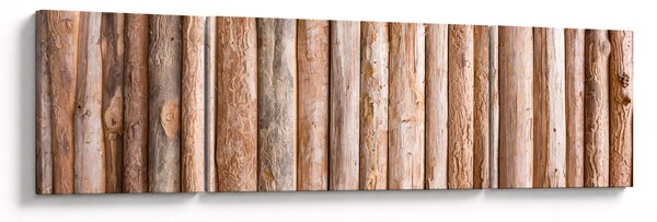 Obraz - Bambus (170x50 cm)