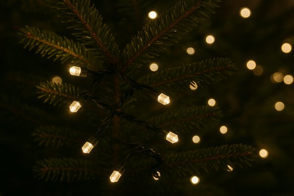 Venkovní LED vánoční řetěz se šestihrannými LED diodami, teplá bílá, 10m, 100 LED