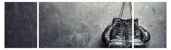 Obraz boxerských rukavic (170x50 cm)