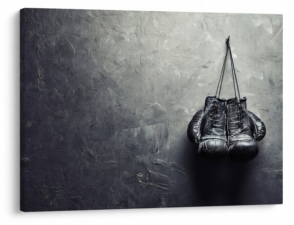 Obraz boxerských rukavic (70x50 cm)