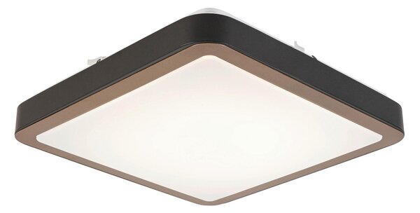 STROPNÍ LED SVÍTIDLO, 37/37/8 cm Novel - Stropní svítidla