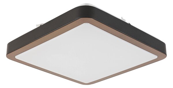 STROPNÍ LED SVÍTIDLO, 37/37/8 cm Novel - Stropní svítidla