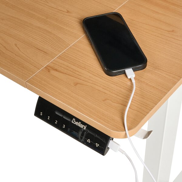 Elektricky výškově nastavitelný pracovní stůl LUCAMA 120 cm 60 cm s USB portem Světle hnědá/Bílá