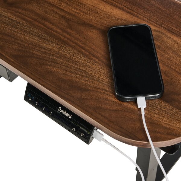 Elektricky výškově nastavitelný pracovní stůl WILBANKS Hnědá/Černá 120 cm 60 cm s USB portem