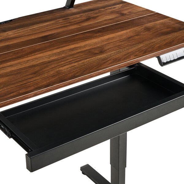 Elektricky výškově nastavitelný pracovní stůl WILBANKS Hnědá/Černá 120 cm 60 cm s USB portem