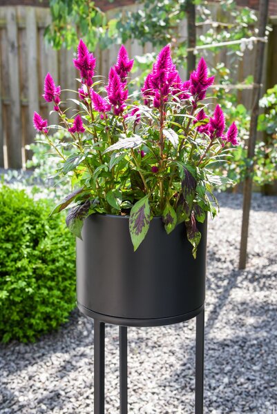 Květináč na vysokých nohách ELEVATE ROUND, ocel, výška 79 cm, černý mat, outlet
