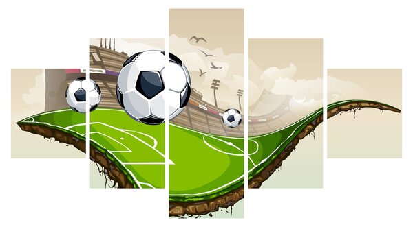 Obraz - Fotbalové hřiště (125x70 cm)