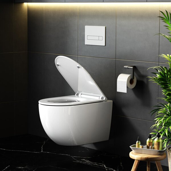Rainsworth Washdown WC Závěsný klozet bez ráfku 4,5/3L závěsný, 360° jednootvorový splachovací závěsný klozet s měkkým zavíráním, bílý
