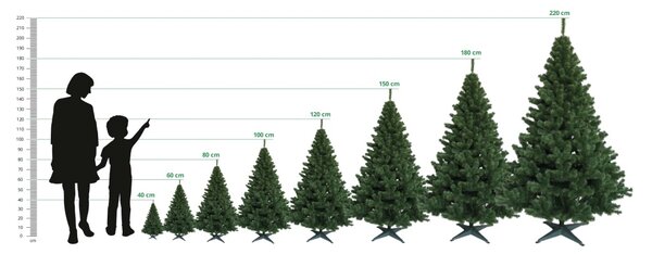 JAKS Vánoční stromek jedle bílá 200 cm