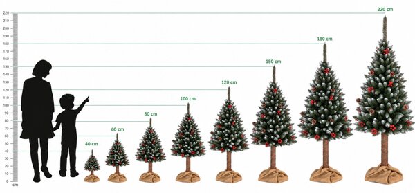 JAKS Vánoční stromek jedle zelená 200 cm