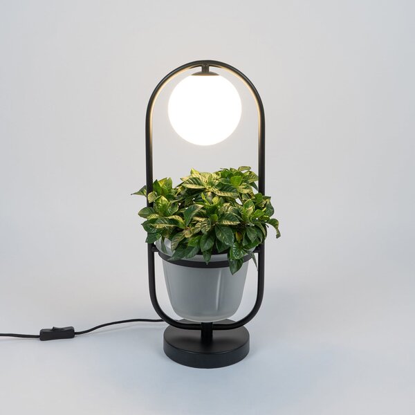 Stolní lampa Lindby, Orna, Černá, Obývací pokoj, Kov, Moderní
