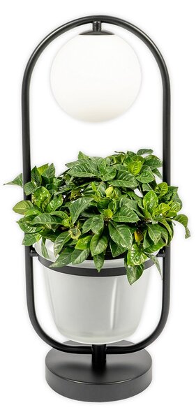 Stolní lampa Lindby, Orna, Černá, Obývací pokoj, Kov, Moderní