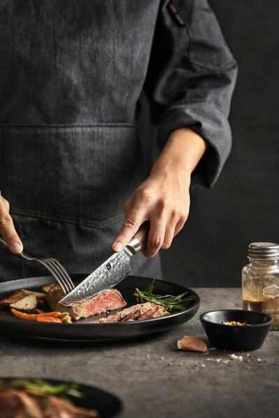 Steakový nůž XinZuo B46W 5"