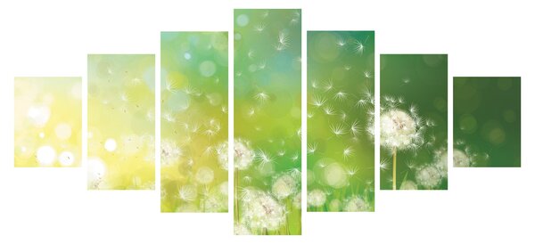 Obraz - Odkvetlé pampelišky (210x100 cm)