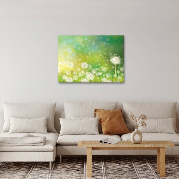 Obraz - Odkvetlé pampelišky (70x50 cm)