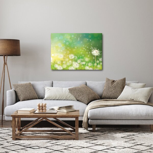 Obraz - Odkvetlé pampelišky (70x50 cm)