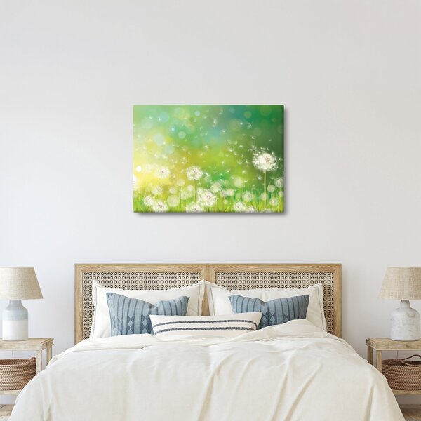 Obraz - Odkvetlé pampelišky (70x50 cm)