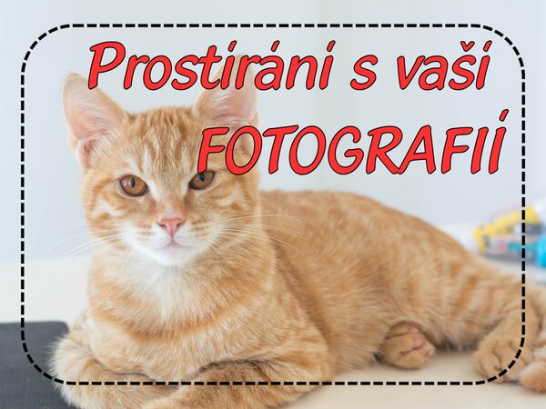 PokojovaDekorace.cz, Prostírání s vaší fotografií - 999, 43x30cm