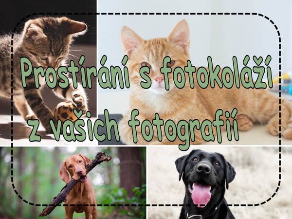 PokojovaDekorace.cz, Prostírání s fotokoláží z vašich fotografií, 43x30cm