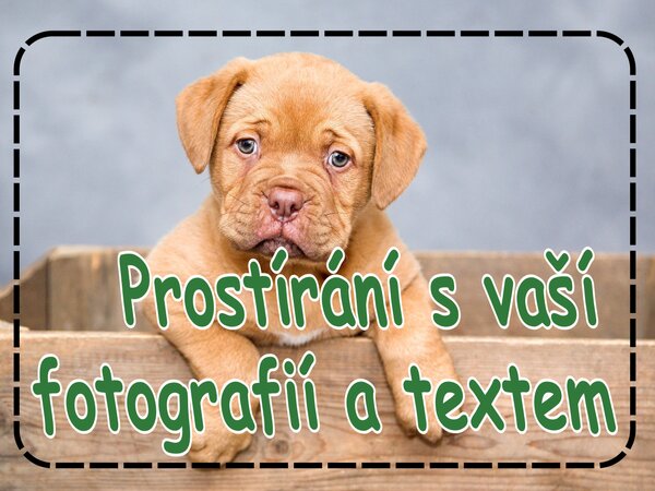 PokojovaDekorace.cz, Prostírání s vaší fotografií a textem, 43x30cm